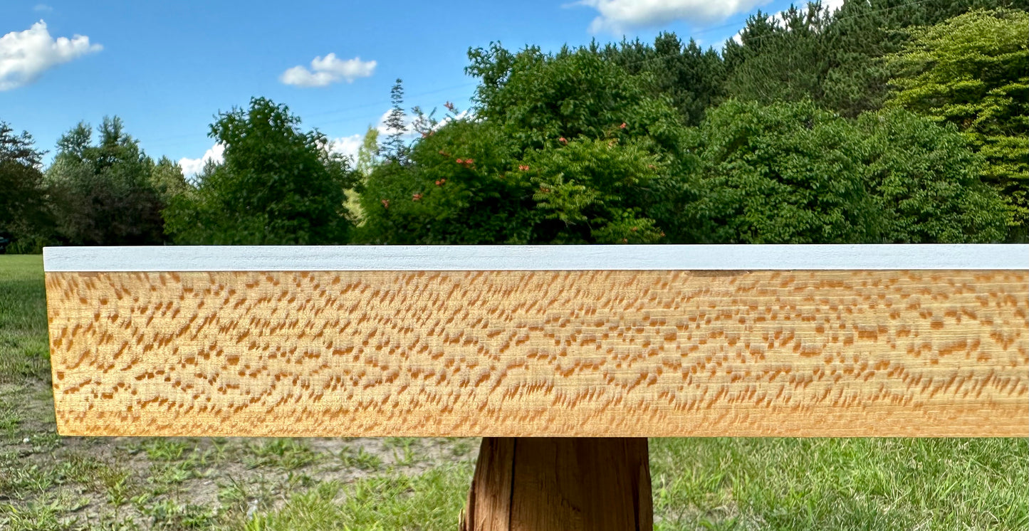 Quartersawn Sycamore and Baltic Birch 12" x 24" Hardwood Cradled Substrate