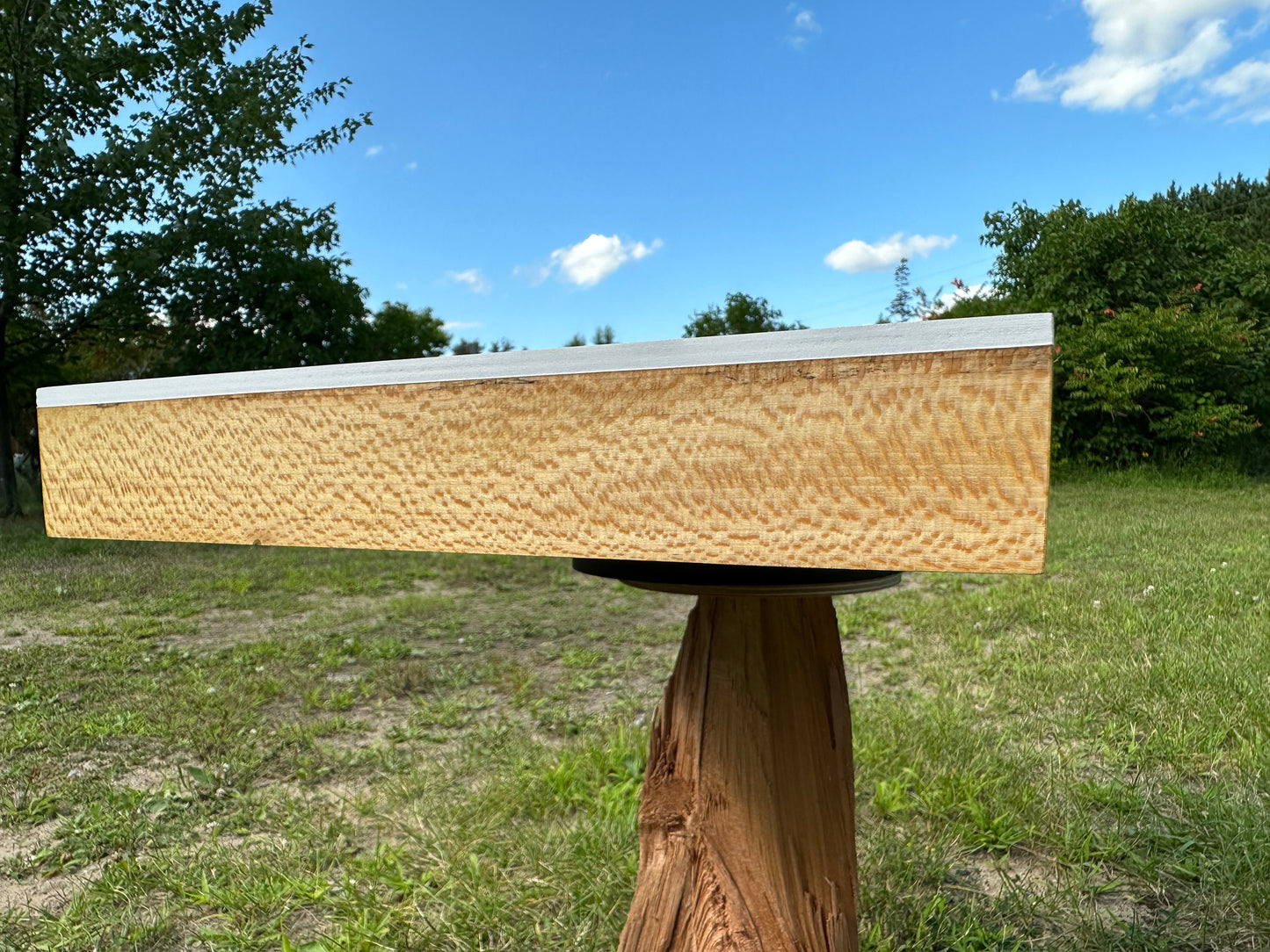 Quartersawn Sycamore and Baltic Birch 12" x 24" Hardwood Cradled Substrate