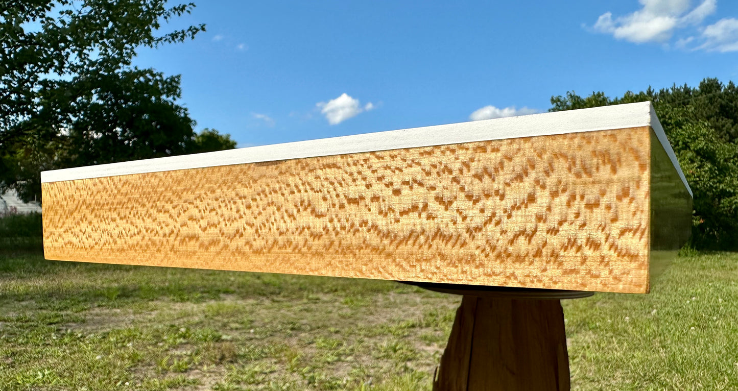 Quartersawn Sycamore and Baltic Birch 12" x 24" Hardwood Cradled Substrate