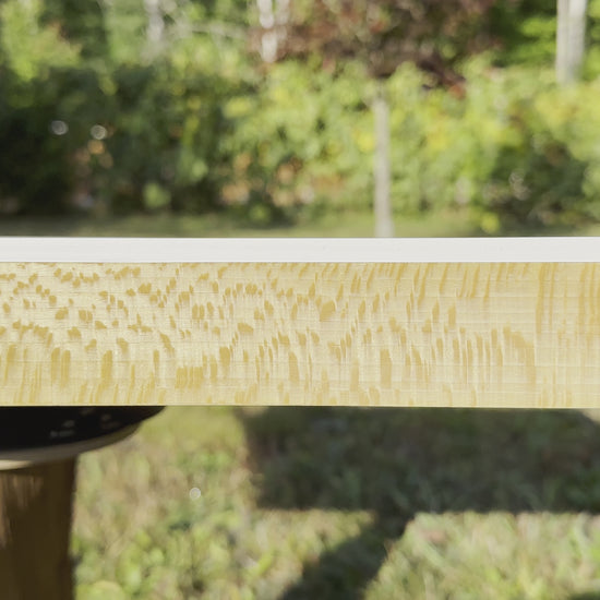 video of side view of Sycamore substrate